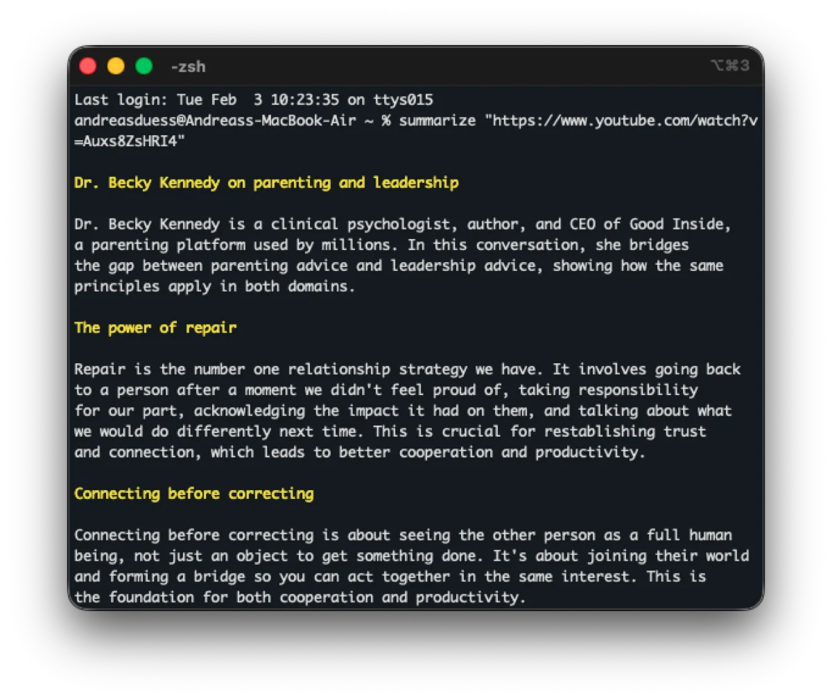 Summarize CLI in action